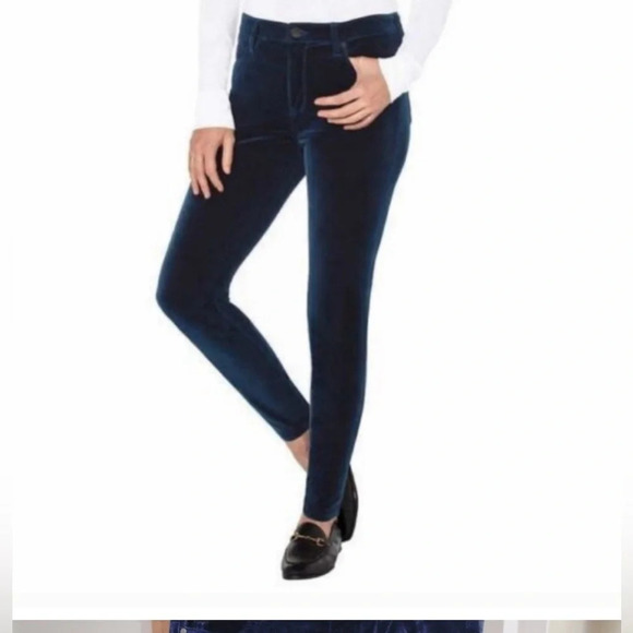 Well Worn High Rise Velvet Taper Skinny Pant Size 10 - Picture 1 of 11